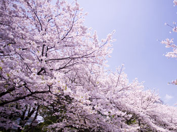 清境小瑞士花園